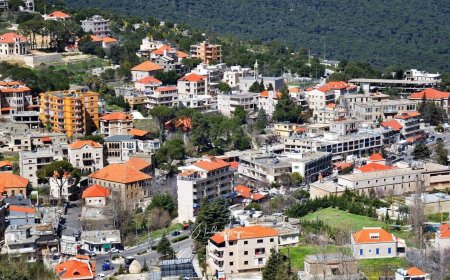 "معارك" ورعب.. ماذا جرى في جزين ليلا؟