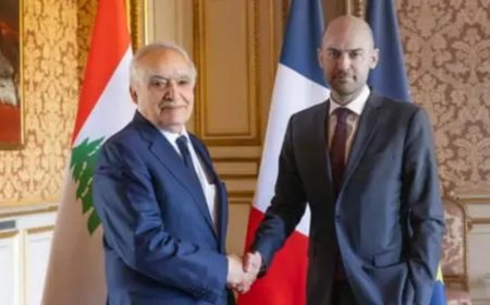 "العلاقات الثنائية" بين سلامة وبارو