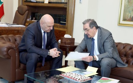 "التغذية الكهربائية" بين عون وحايك