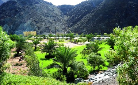 وادي شوكة في رأس الخيمة… مغامرة بين قمم الجبال وسحر الطبيعة الخفية!