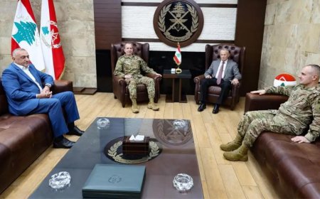 سلسلة لقاءات لقائد الجيش