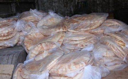 لا تغيير في سعر ربطة الخبز.. ماذا عن الوزن؟