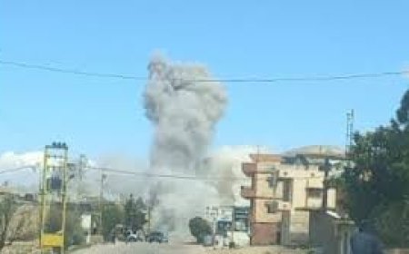 شهيدة حامل بتوأم في البزالية