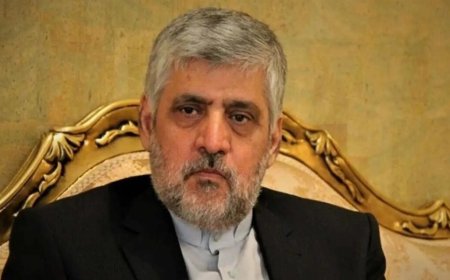 قرار طرد شيباني نافذ حكمًا… والأنظار إلى موقف طهران وخيارات بري