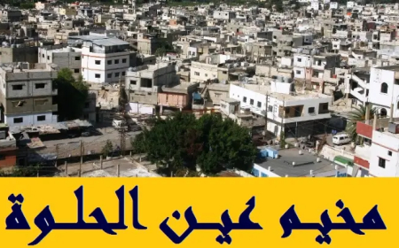 بعد اشتباك وقتيل.. هدوء في عين الحلوة