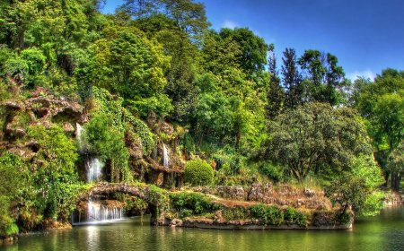 جولة حديقة أميرجان في إسطنبول… حيث الطبيعة تتحول إلى تجربة سياحية متكاملة!