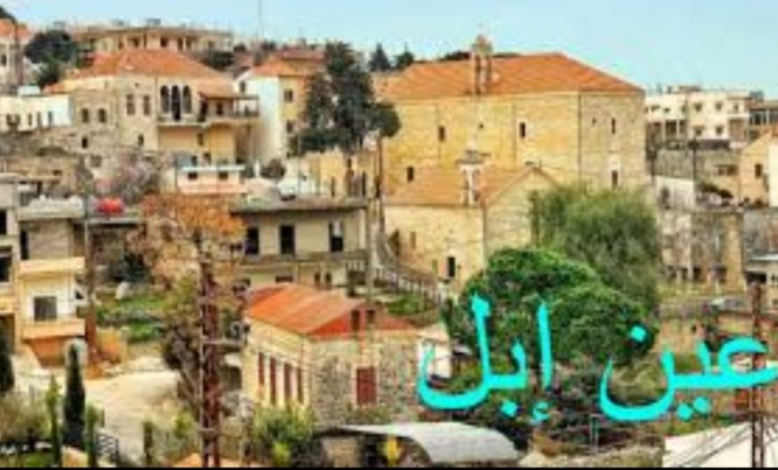 رئيس بلدية عين ابل يطلع على أوضاع النازحين... هذا ما قاله