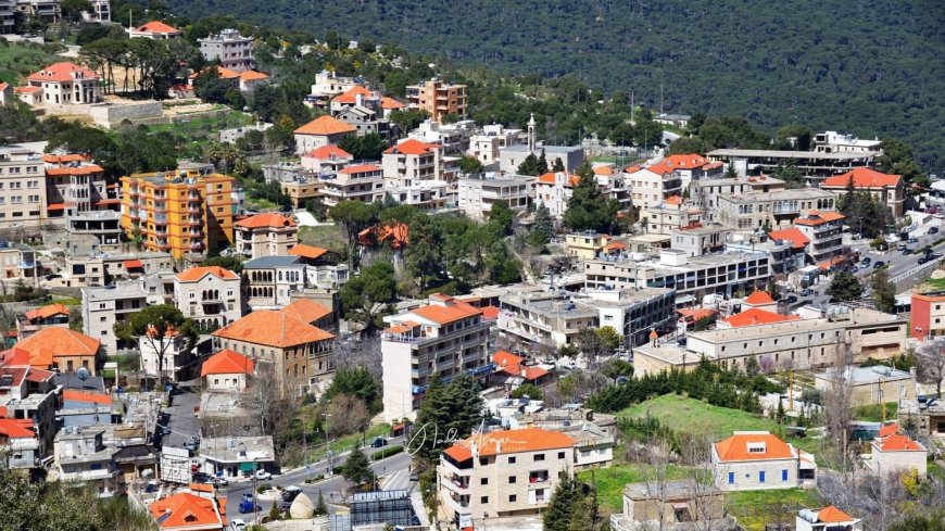 "معارك" ورعب.. ماذا جرى في جزين ليلا؟