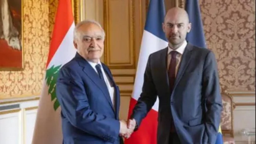 "العلاقات الثنائية" بين سلامة وبارو