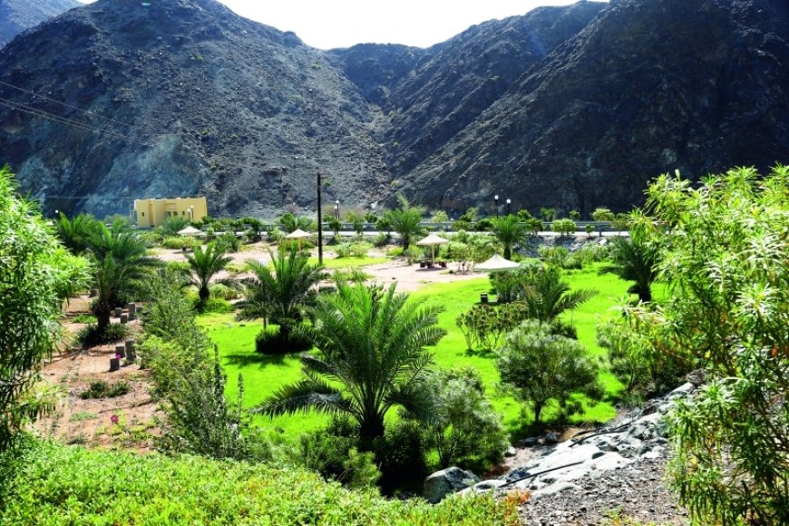 وادي شوكة في رأس الخيمة… مغامرة بين قمم الجبال وسحر الطبيعة الخفية!