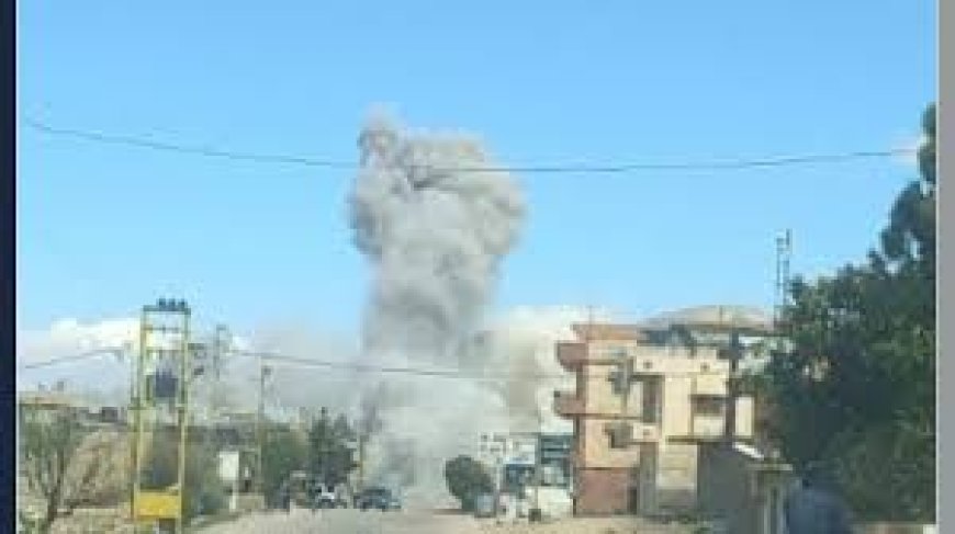 شهيدة حامل بتوأم في البزالية