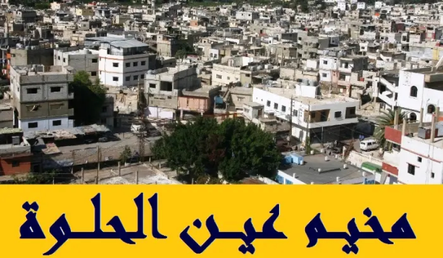 بعد اشتباك وقتيل.. هدوء في عين الحلوة