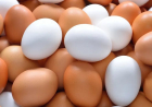 بالتفاصيل.. اليكم فوائد البيض