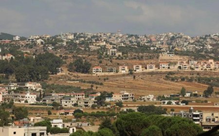 ماذا طلب أهالي القرى الحدودية من الرئيس سلام؟