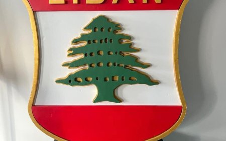 الأولمبية اللبنانية سمّت البعثة للألعاب الآسيوية الشاطئية ( سانيا – الصين ) 2026.. وجلخ هنأ بصدور حكم ال CAS وقرار شورى الدولة