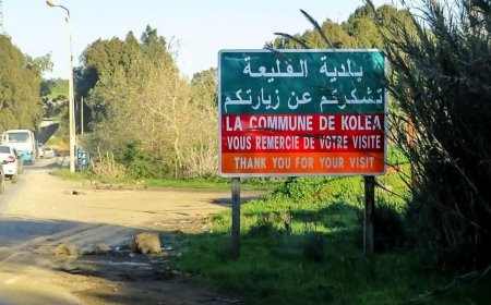 من بلدية القليعة لأبنائها.. هذه الأمور ممنوعة