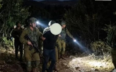 قوة اسرائيلية دخلت شبعا.. وهذا ما فعلته