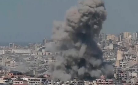 كم بلغ عدد شهداء وجرحى الحرب؟