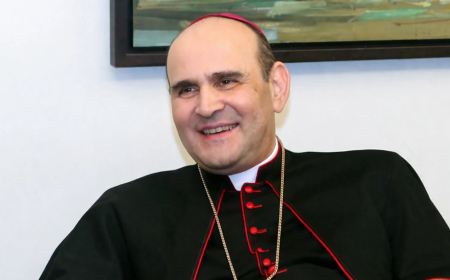 هل تمكن السفير البابوي من زيارة دبل؟