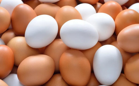 بالتفاصيل.. اليكم فوائد البيض