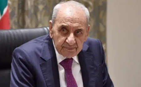 بري يلتقي السفير المصري