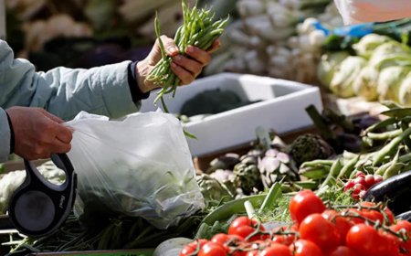 رد على "برنامج الغذاء العالمي": المخزون يكفي لـ3 أشهر