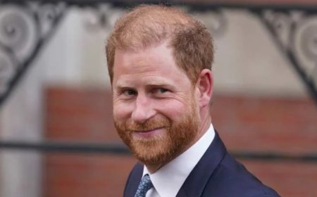 الأمير هاري.. إلى القضاء در