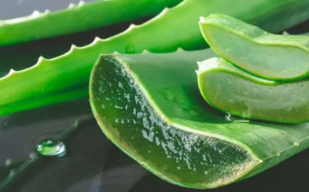 وداعًا للتصبغات… أسرار مطبخك لبشرة صافية ومشرقة