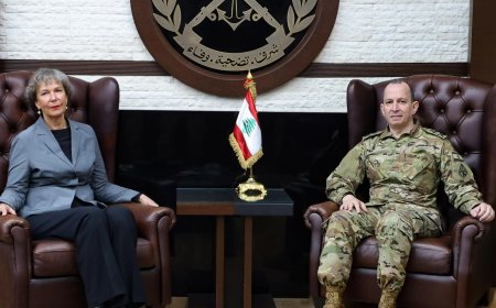 قائد الجيش يلتقي سفيرة سويسرا