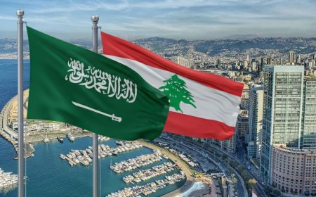 حزب الله ليس بوارد الانقلاب على الحكومة والرياض شريكة في وقف اطلاق النار