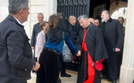 الراعي في جزين