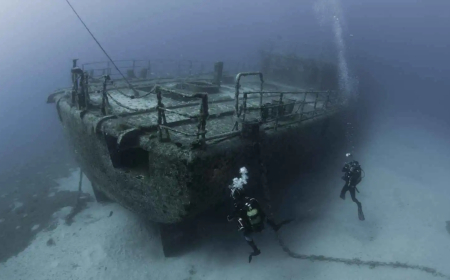 كتاب  يعيد إحياء حكايات نساء تايتانيك المنسية !