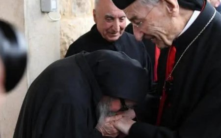 بالصور.. الراعي يختتم زيارته الى جزين