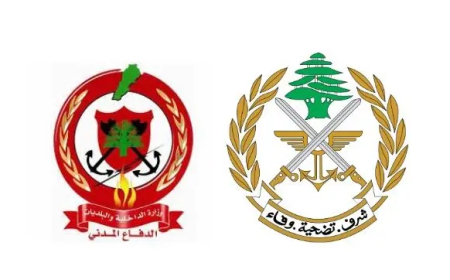 الجيش والدفاع المدني يحذران من مخاطر الألغام في الجنوب