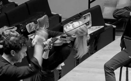 كمان بمليون دولار يسقط على المسرح…