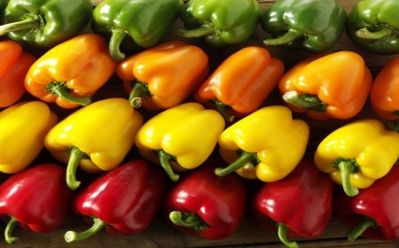 لتعزيز المناعة.. أي لون فلفل حلو هو الأفضل؟