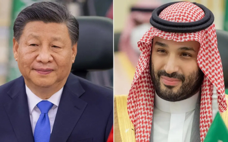 الرئيس الصيني لولي الغعد السعودي: مضيق هرمز يجب أن يبقى مفتوحا