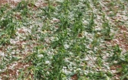 حبات البرد تسبب كارثة للمزارعين.. وتحذير