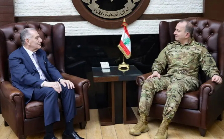 قائد الجيش يلتقي غابرييل.. وهذا ما تم بحثه