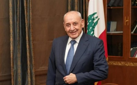 بري يلتقي ناصر الدين ونصار