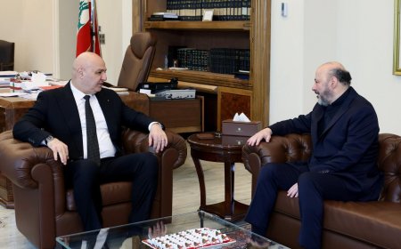 الرياشي من بعبدا: موقف أميركي ايجابي تجاه لبنان