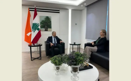 باسيل يلتقي سفيرة النرويج: لمنع الانزلاق نحو مواجهة أوسع