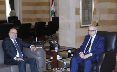 سلسلة لقاءات لسلام.. أبي رميا: رئيس الحكومة حريص على التكاتف الداخلي كشرط لمواجهة التحديات