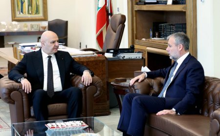 مارتينوس يزور بعبدا: لوقف الاعتداءات الإسرائيلية وحماية المدنيين والإعلاميين والمرافق الحيوية