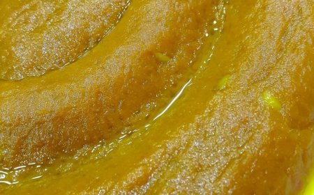 “أربعة أيوب”... حين يتحوّل بحر بيروت إلى طقس شفاء وذاكرة مدينة