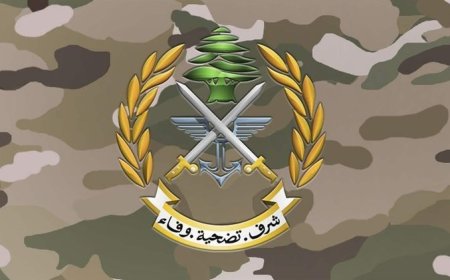 استشهاد عسكري وشقيقه في  خربة سلم