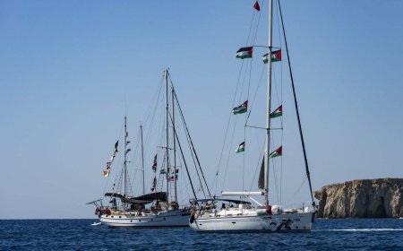 اسرائيل تعترض سفن متجهة الى غزة.. واعتقالات