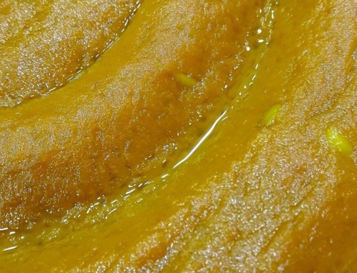 “أربعة أيوب”... حين يتحوّل بحر بيروت إلى طقس شفاء وذاكرة مدينة