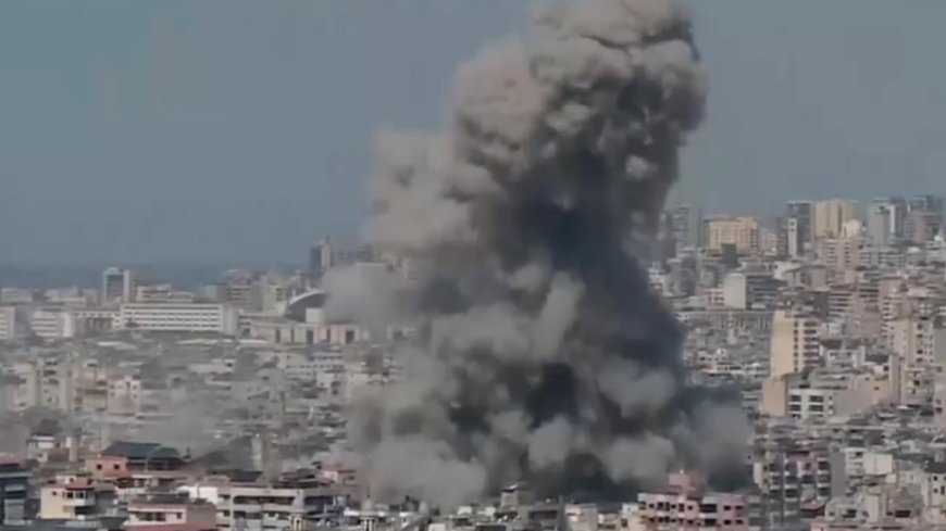 كم بلغ عدد شهداء وجرحى الحرب؟