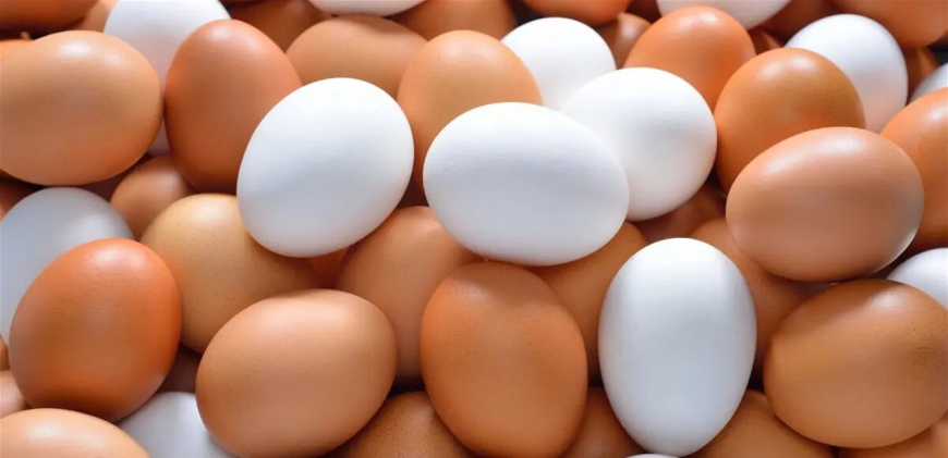 بالتفاصيل.. اليكم فوائد البيض